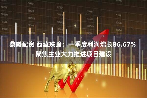 鼎盛配资 西藏珠峰：一季度利润增长86.67% 聚焦主业大力推进项目建设