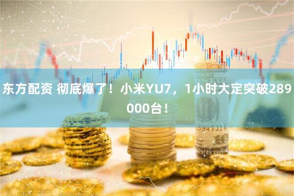 东方配资 彻底爆了！小米YU7，1小时大定突破289000台！
