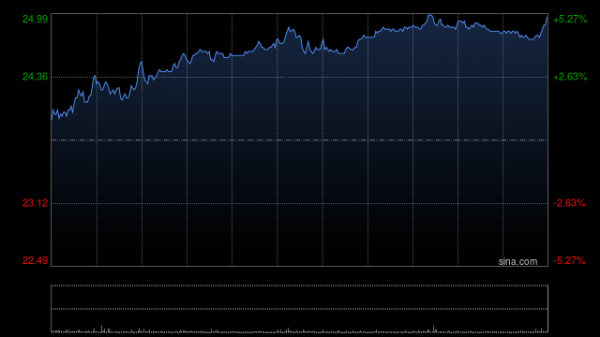 创盈配资 中国宏桥8月21日斥资3516.03万港元回购146.95万股