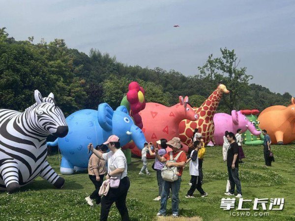 桥宜速配 趣野长动万兽来潮，动物园国庆为游客打造沉浸式游园盛宴