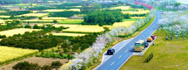 瑞和网 前9月我国完成新改建农村公路7.5万公里